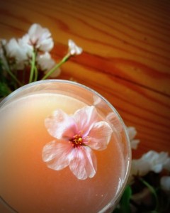 apple blossom cocktail